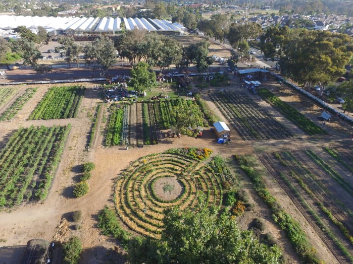 Aerial view of the Educational Garden at Coastal Roots Farm in Encinitas, California, showing garden beds, a labyrinth, farm stand, and people gathering for a community event.