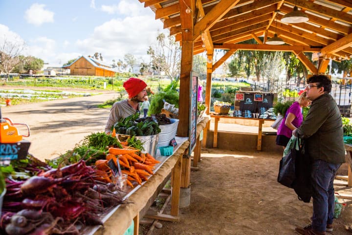 Early photo of the pay-what-you-can Farm Stand at Coastal Roots Farm in Encinitas, California, showing fresh produce, community members, the barn, and educational gardens in the background.