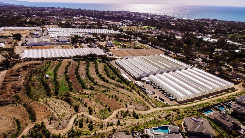 Aerial view of Coastal Roots Farm in Encinitas, California, showing the food forest, silvopasture, compost area, early educational farm, and the broader Leichtag Commons campus near the coast.